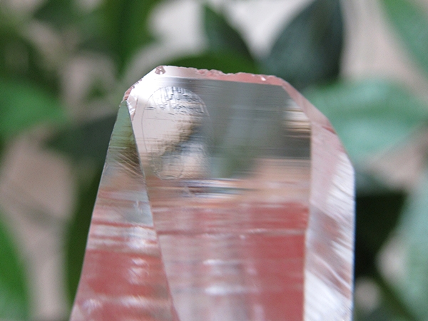 コロンビア産 レムリアンシードクリスタル 水晶 原石 天然石