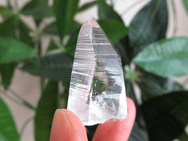 コロンビア産 レムリアンシードクリスタル 水晶 原石 天然石