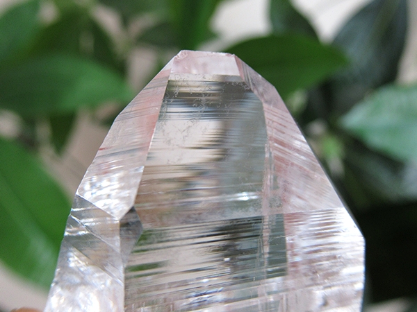 コロンビア産 レムリアンシードクリスタル 水晶 原石 天然石