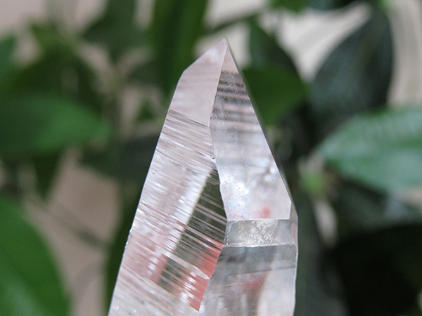 コロンビア産 レムリアンシードクリスタル 水晶 原石 天然石
