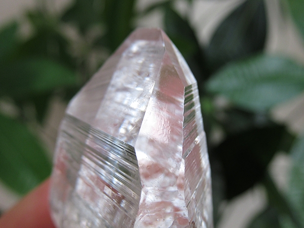 コロンビア産 レムリアンシードクリスタル 水晶 原石 天然石