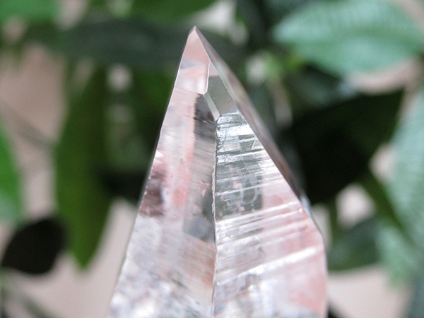 コロンビア産 レムリアンシードクリスタル 水晶 原石 天然石