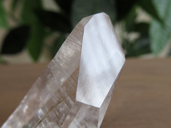 コロンビア産 レムリアンシードクリスタル 水晶 原石 天然石