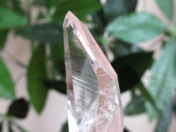 コロンビア産 レムリアンシードクリスタル 水晶 原石 天然石