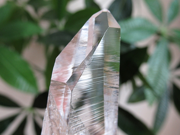 コロンビア産 レムリアンシードクリスタル 水晶 原石 天然石