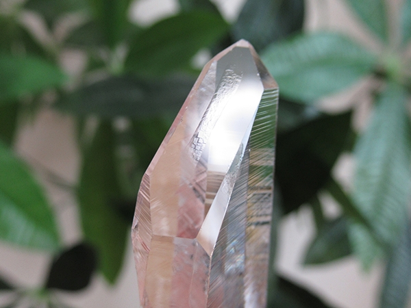 コロンビア産 レムリアンシードクリスタル 水晶 原石 天然石
