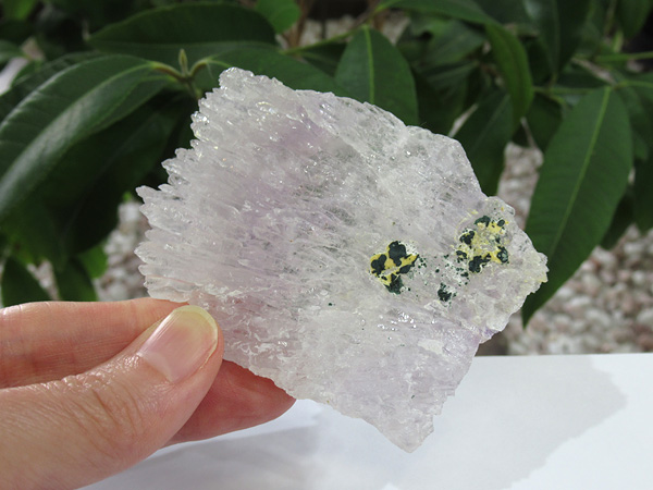 フラワーアメジスト 紫水晶 原石 | 通販/天然石専門店販売 | 鬮石