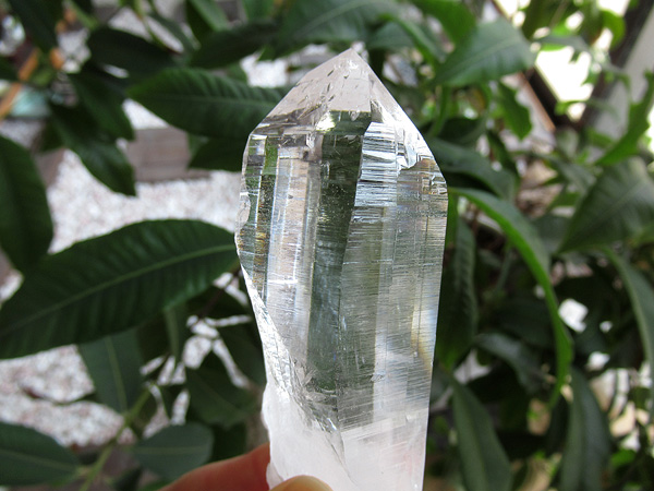 ガネーシュヒマール産　ヒマラヤ水晶 原石