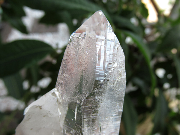 ガネーシュヒマール産　ヒマラヤ水晶 原石
