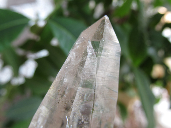 ガネーシュヒマール産　ヒマラヤ水晶 原石