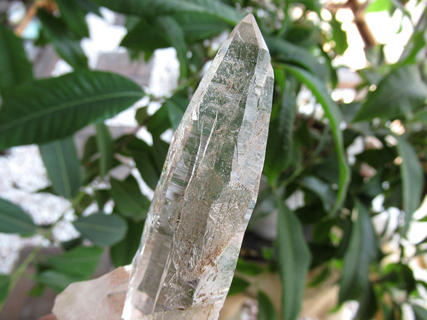 ガネーシュヒマール産　ヒマラヤ水晶 原石