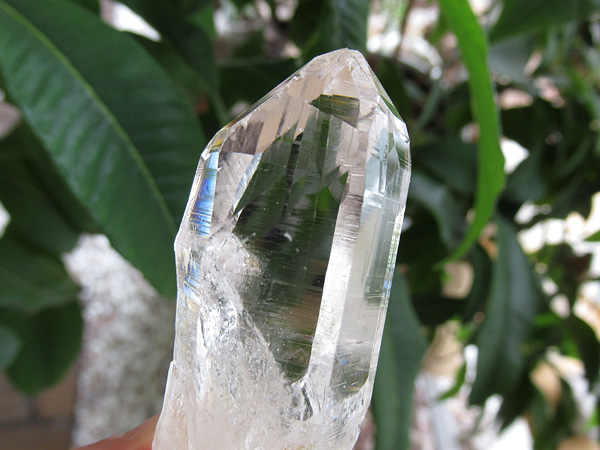 ガネーシュヒマール産　ヒマラヤ水晶 原石