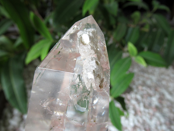 レムリアンシードクリスタル ゴイアス州産 水晶 原石ポリッシュ