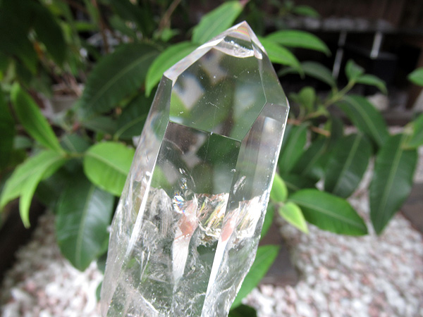 レムリアンシードクリスタル ゴイアス州産 水晶 原石ポリッシュ
