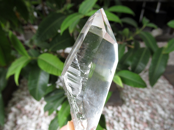 レムリアンシードクリスタル ゴイアス州産 水晶 原石ポリッシュ