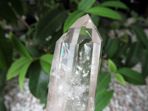 レムリアンシードクリスタル ゴイアス州産 水晶 原石ポリッシュ