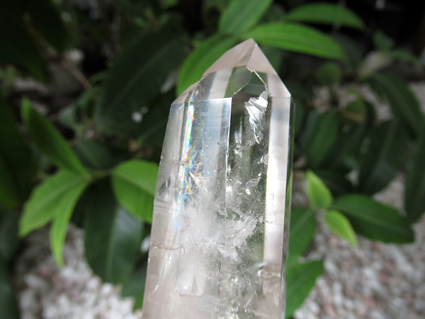 レムリアンシードクリスタル ゴイアス州産 水晶 原石ポリッシュ