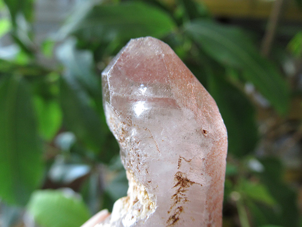 モンドクォーツ 高品質 タンザニア産 水晶 原石 天然石専門店