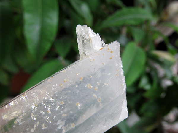 コロンビア産 パスウェイ クォーツ チタニウム 水晶 原石 チタニウムインクォーツ（パスウェイクォーツ）原石 コロンビア