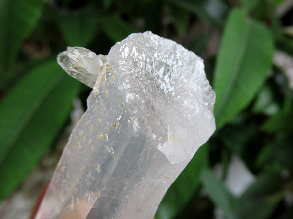 コロンビア産 パスウェイ クォーツ チタニウム 水晶 原石 チタニウムインクォーツ（パスウェイクォーツ）原石 コロンビア