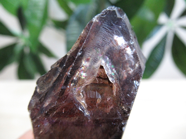 ザンビア産 アメジストエレスチャル原石