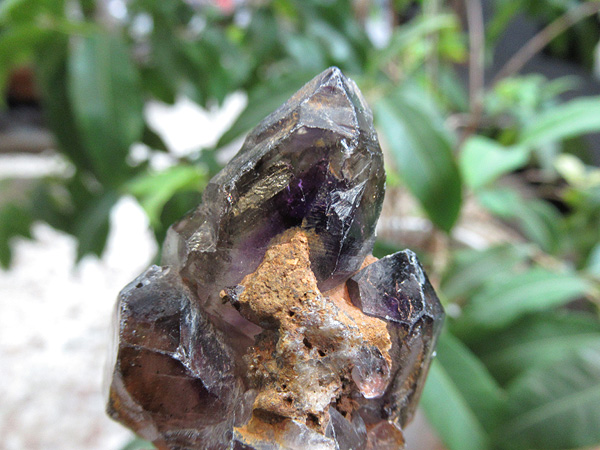 ザンビア産 アメジストエレスチャル 原石 通販 天然石専門店 【鬮石】