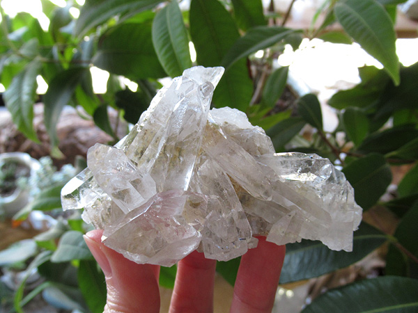 ブラジル ミナスジェライス州 ゼカ デ ソーザ 水晶 クラスター 原石