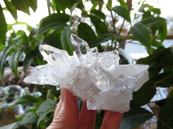 ブラジル ミナスジェライス州 ゼカ デ ソーザ 水晶 クラスター 原石