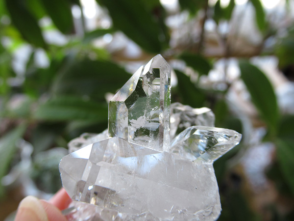 ブラジル ミナスジェライス州 ゼカ デ ソーザ 水晶 クラスター 原石