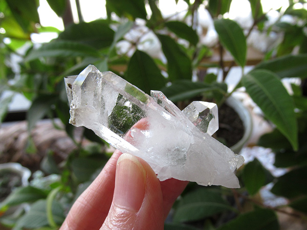 ブラジル ミナスジェライス州 ゼカ デ ソーザ 水晶 クラスター 原石