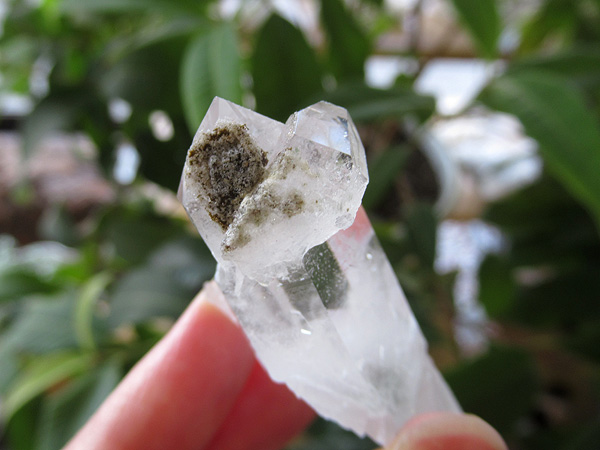 ブラジル ミナスジェライス州 ゼカ デ ソーザ 水晶 クラスター 原石