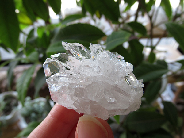 ブラジル ミナスジェライス州 ゼカ デ ソーザ 水晶 クラスター 原石