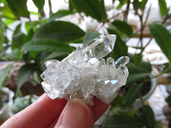 ブラジル ミナスジェライス州 ゼカ デ ソーザ 水晶 クラスター 原石