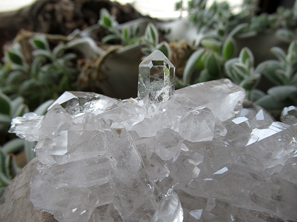 ゼッカデソウザ超透明クラスター(ブラジル産)