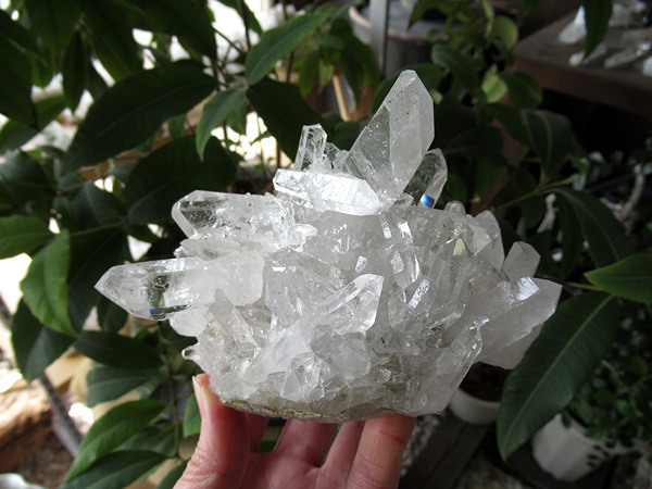 ブラジル ミナスジェライス州 ゼカ デ ソーザ 水晶 クラスター 原石