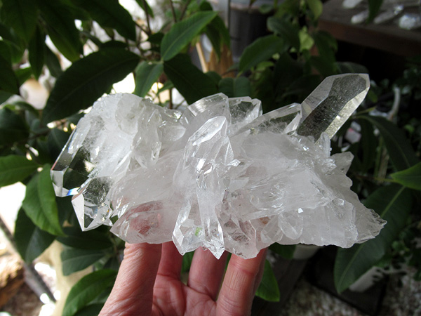 ブラジル ミナスジェライス州 ゼカ デ ソーザ 水晶 クラスター 原石