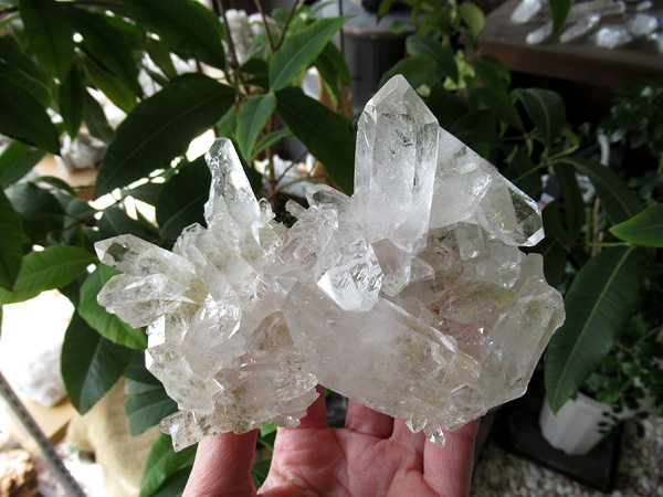 ブラジル ミナスジェライス州 ゼカ デ ソーザ 水晶 クラスター 原石