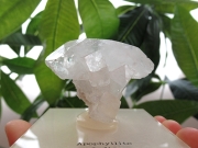 天然石ホワイトアポフィライト【ap05】ペンデュラム アポフィライト原石の通販/鉱物販売 |【鬮石】天然石専門店