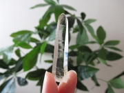 コロンビア産 レムリアンシードクリスタル タピアス 水晶 原石