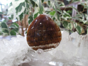 ゲーサイトインアメジストエレスチャル スーパーセブン ルース 通販 販売 天然石アクセサリー専門店 鬮石