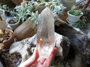 ゴイアス州 レムリアンシードクリスタル 水晶 原石 ポリッシュ