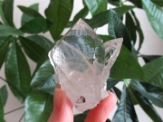 ガネーシュヒマール産　ヒマラヤ水晶 原石