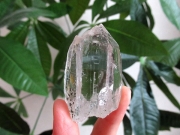 ガネーシュヒマール産　ヒマラヤ水晶 原石