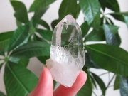 ガネーシュヒマール産　ヒマラヤ水晶 原石