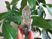 ガネーシュヒマール産　ヒマラヤ水晶 原石