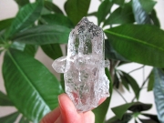 ガネーシュヒマール産　ヒマラヤ水晶 原石
