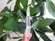 コリント産 レムリアンシードクリスタル 原石 水晶 ミナスジェライス州