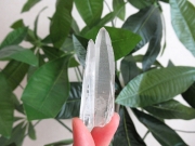 コリント産 レムリアンシードクリスタル 原石 水晶 ミナスジェライス州