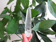 コリント産 レムリアンシードクリスタル 原石 水晶 ミナスジェライス州