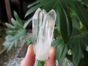 モンドクォーツ 高品質タンザニア産水晶原石の通販/販売 |【鬮石】天然石専門店 ウィンドウ タイムリンク レインボー イシス